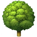 Arbre à feuilles caduques