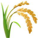 Plant de riz