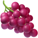 Raisin