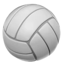 Volley-ball