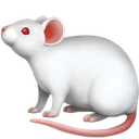 Souris