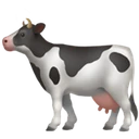 Vache