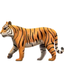 Tigre