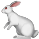 Lapin