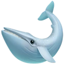 Baleine
