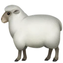 Mouton