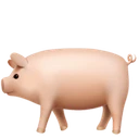 Cochon