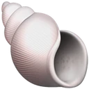 Coquille en spirale