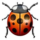 Coccinelle