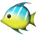 Poisson tropical