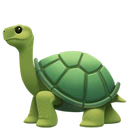 Tortue