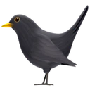 Oiseau noir