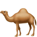 Dromadaire