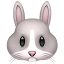 Tête de lapin