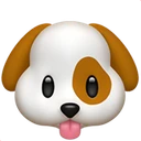 Tête de chien
