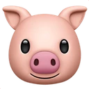 Tête de cochon