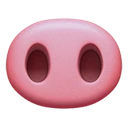 Groin