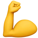 Biceps contracté