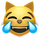 Chat qui pleure de joie