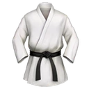 Tenue d’arts martiaux