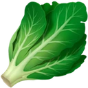 Légume à feuilles vertes