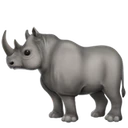 Rhinocéros