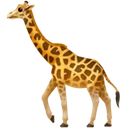 Girafe