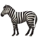 Zèbre