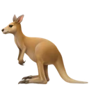 Kangourou