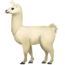 Lama