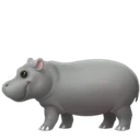 Hippopotame