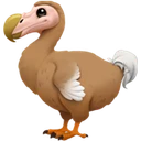 Dodo