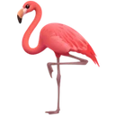 Flamant