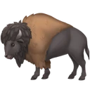 Bison