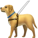 Chien guide