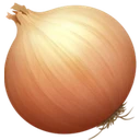 Oignon