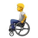Personne en fauteuil roulant manuel