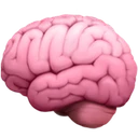Cerveau
