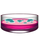 Boîte de pétri