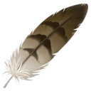 Plume