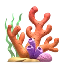 Corail