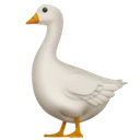 Oie