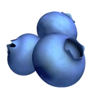 Myrtilles