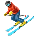 Skieur