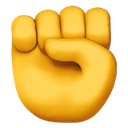 Poing levé